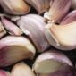7 Penyakit yang Bisa Diredakan dengan Bawang Putih, Salah Satunya Infeksi Saluran Pernapasan