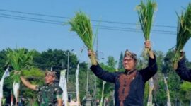 Menjadi yang Terbesar Secara Nasional, Capaian Penambahan Lahan Tanam Padi di Jawa Tengah